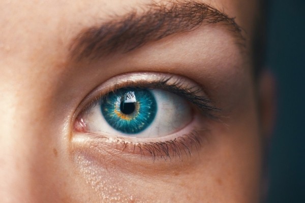 Диетолог Пономарева раскрыла важный витамин, который защищает глаза от повреждений