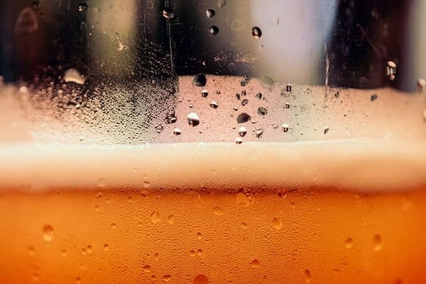 Гастроэнтеролог Вялов предупредил об особой опасности пива для желудка