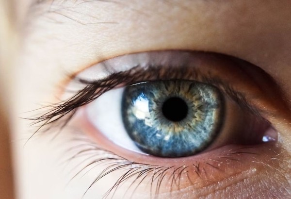 Признаки болезни Паркинсона можно определить по глазам за семь лет до постановки диагноза