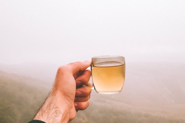 Врач Пономарева: пейте чай улун, чтобы защитить себя от рака, диабета и болезней сердца