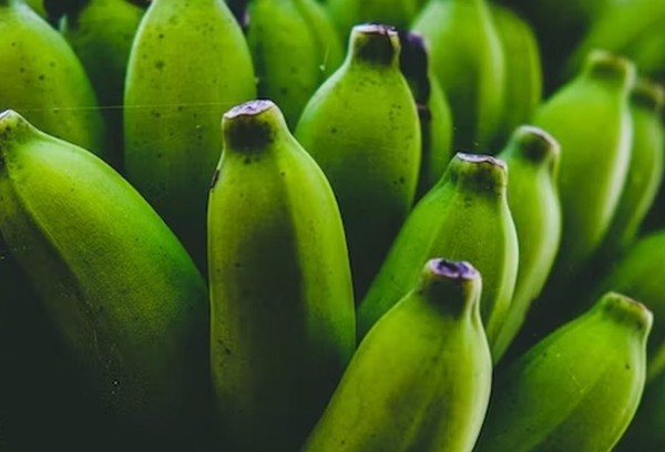 Диетолог Соломатина рассказала о пользе зеленых бананов