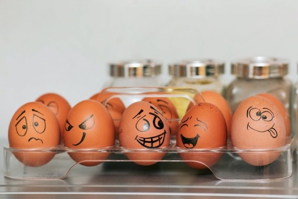 Врач объяснил, когда следует есть яйца, чтобы сбросить лишние килограммы