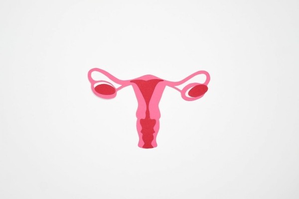 Вот 4 признака рака шейки матки, которые нельзя игнорировать