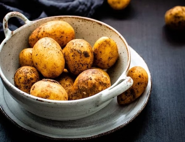 Гастроэнтеролог Кашух рассказала, какой картофель вызывает отравление