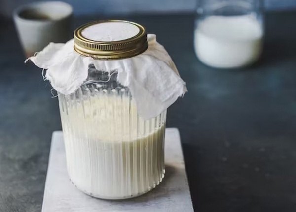 Ферментированные продукты могут снизить риск развития рака Ферментированные продукты могут снизить риск развития рака