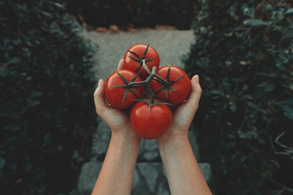 Гепатолог Южнова: эти 7 продуктов укрепляют вашу печень Гепатолог Южнова: эти 7 продуктов укрепляют вашу печень